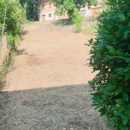 Urbino Gadana